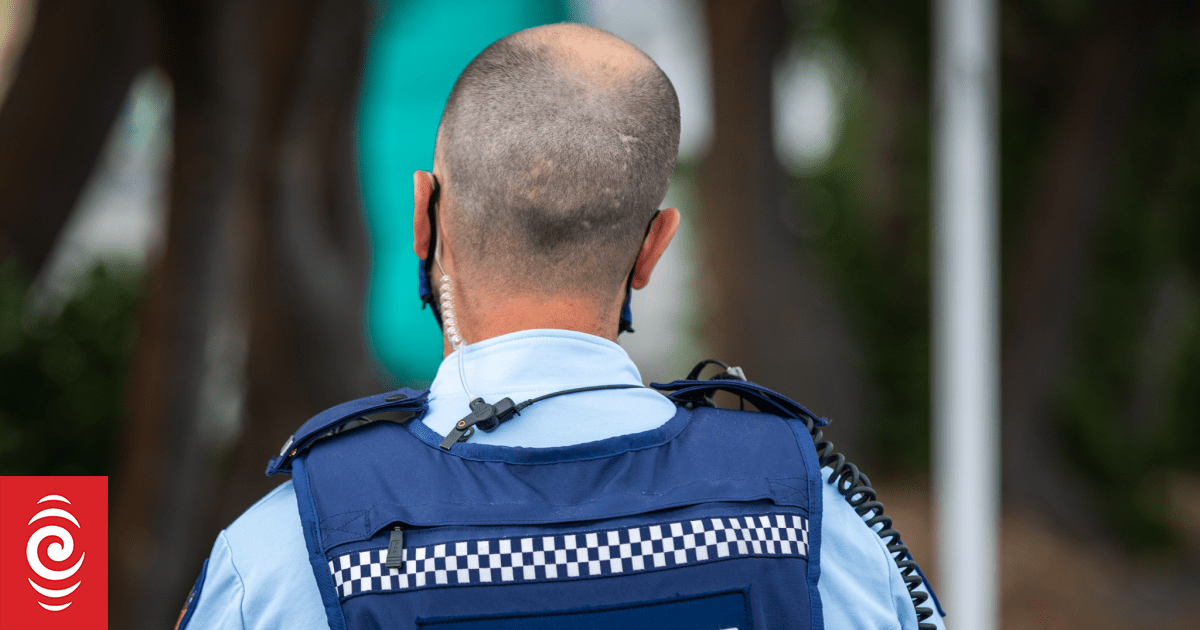 Soldiers' burial plaques stolen from grave sites in Invercargill