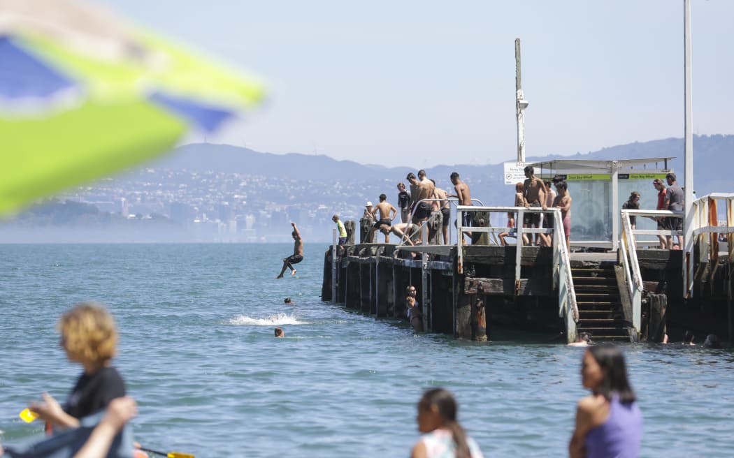 Summer in Eastbourne, Wellington.