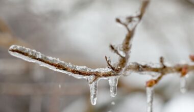 Upstate NY’s winter whiplash: First rain, then ice and high winds, topped with more snow by New Year’s Eve
