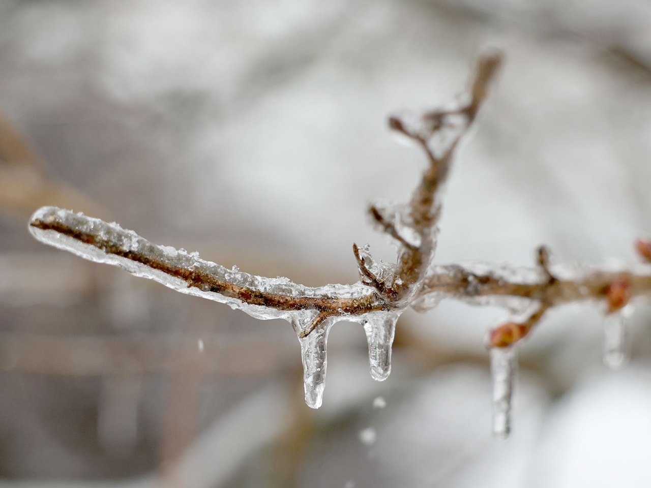Upstate NY’s winter whiplash: First rain, then ice and high winds, topped with more snow by New Year’s Eve