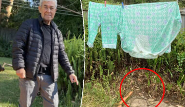 Aussie 'horrified' by 70cm discovery found in backyard: 'Could have killed someone'