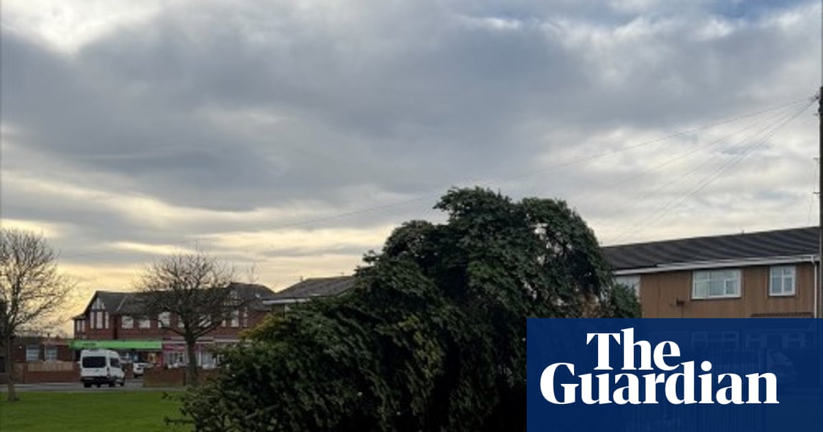 Two men arrested after Christmas tree in Durham village chopped down | UK news