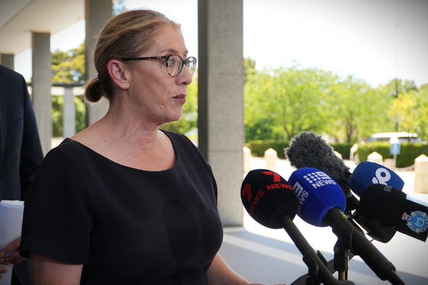 A side view of Rita Saffioti who is addressing media