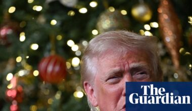 US carries out airstrikes against Islamic State ‘terrorist scum’ in Nigeria, Trump says | Donald Trump