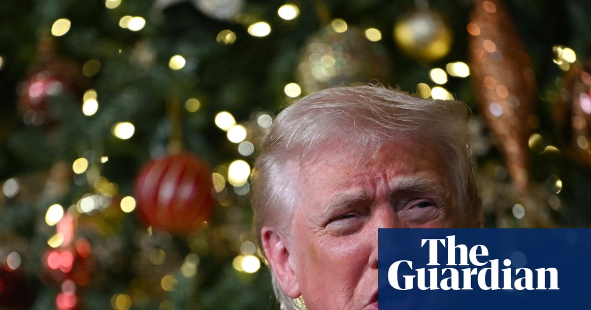 US carries out airstrikes against Islamic State ‘terrorist scum’ in Nigeria, Trump says | Donald Trump