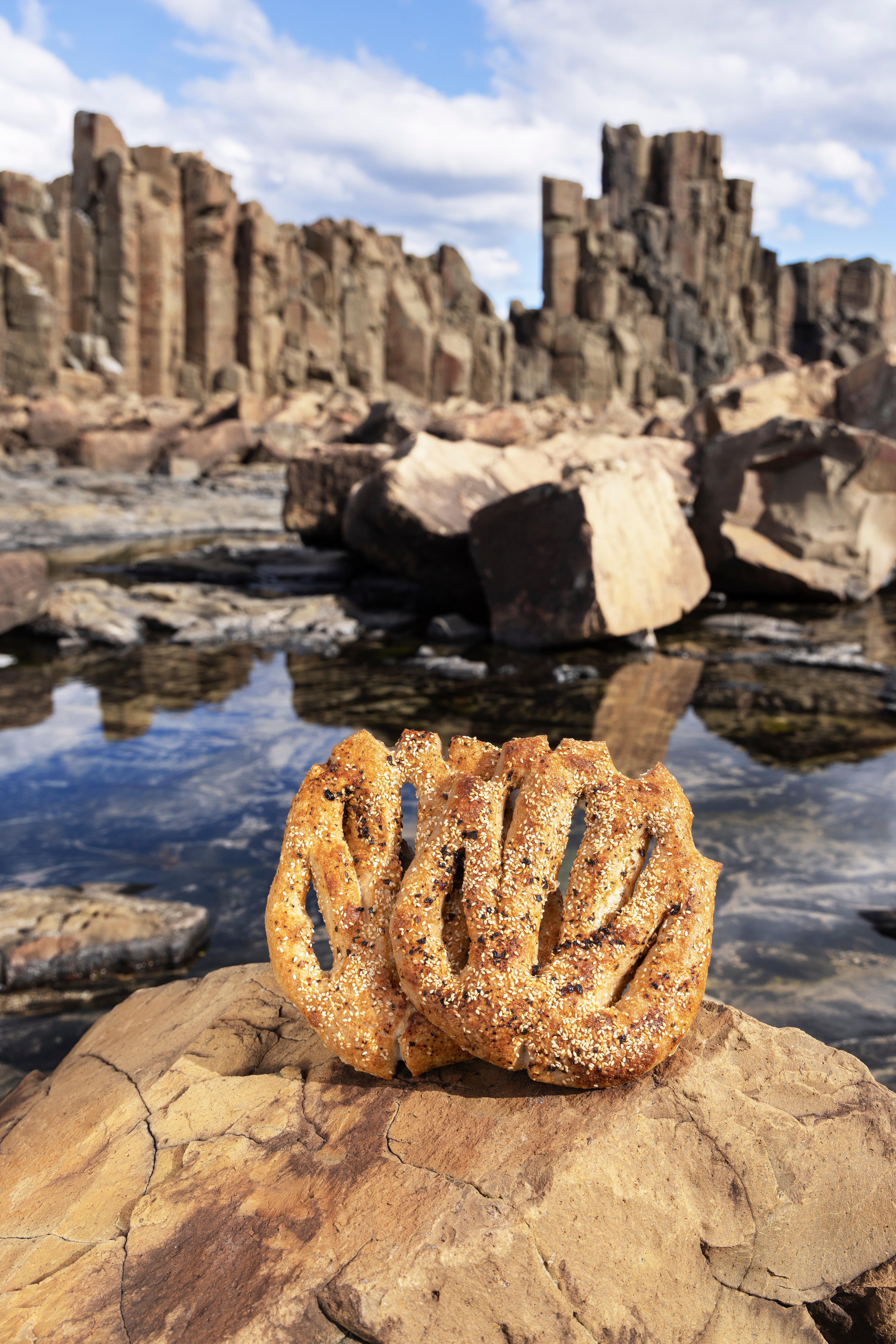 A seeded flatbread with protruding stick shapes sits in front of tall block-shaped rock formations.