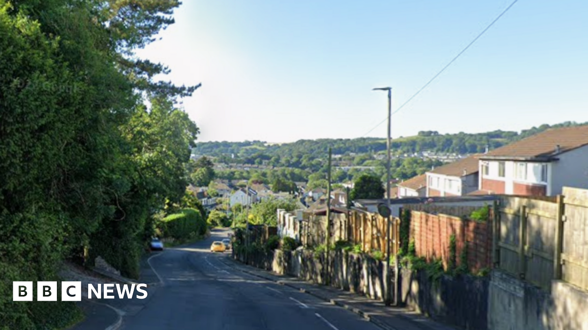 A road runs through a residential area. Terrace houses are on the right hand side of the road. Trees are on the left hand side. Shadows of the trees are on the walls and fences of houses on the opposite side of the street. Trees are in the distance.