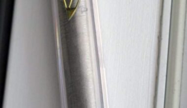 Toronto police investigating after second incident of mezuzahs stolen - Toronto