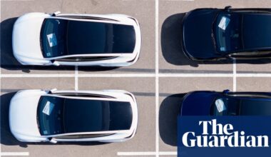 Tesla’s EU sales slump continues as Chinese rivals thrive | Automotive industry