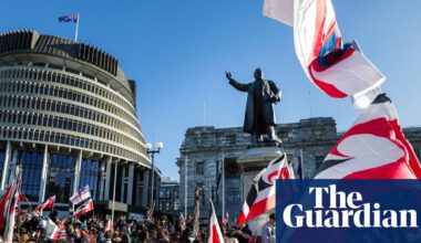 UN report sounds alarm over Māori rights in New Zealand | New Zealand