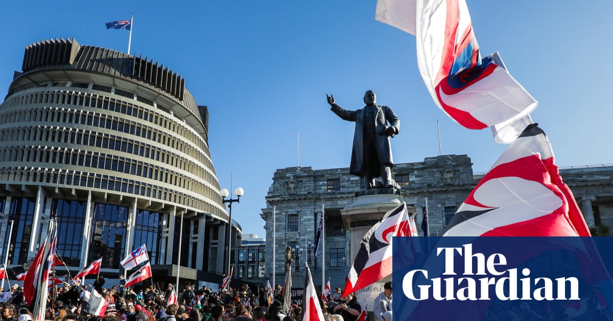 UN report sounds alarm over Māori rights in New Zealand | New Zealand