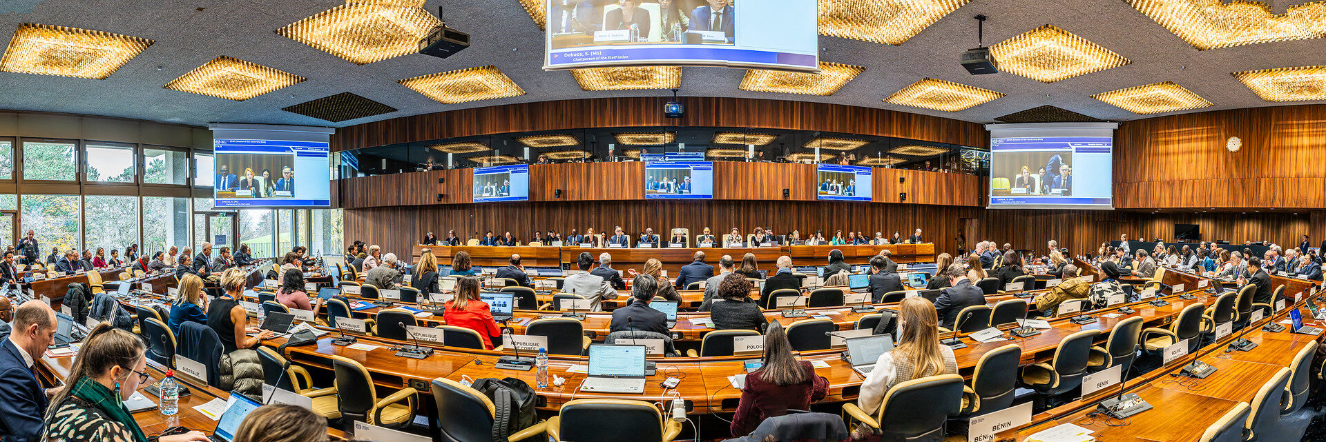 ILO Governing Body concludes its 355th Session