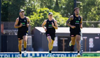 How Tigers AFL list was built