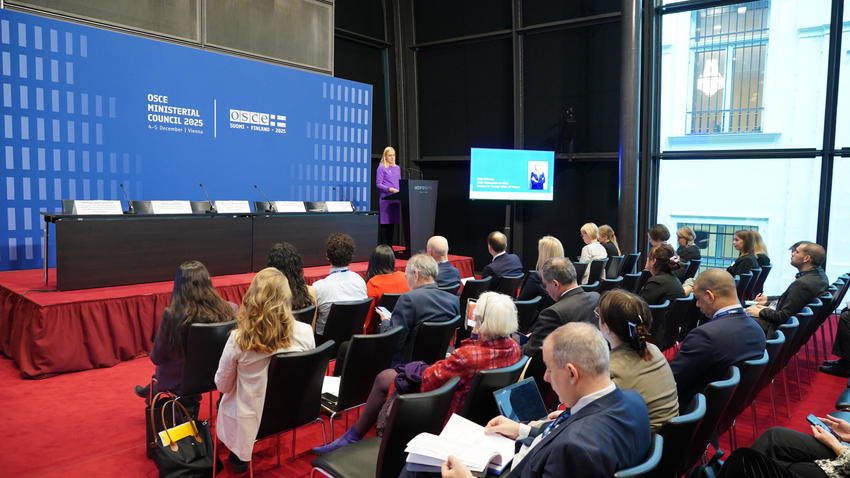 Youth, Peace and Security Roadmap contributes to work on advancing inclusion