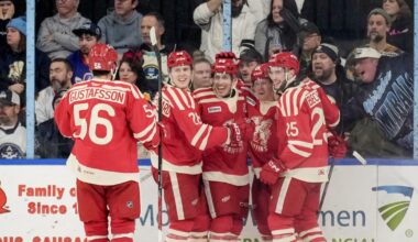 Grand Rapids Griffins | Nothing But Net