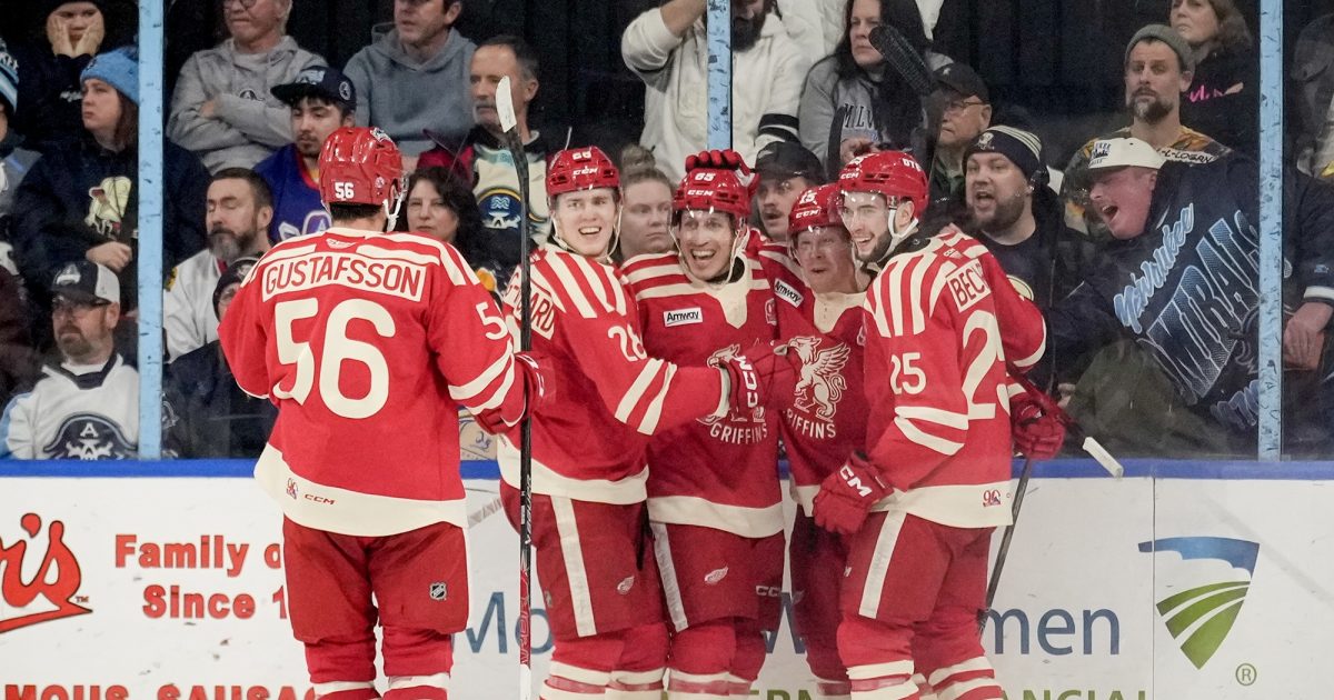 Grand Rapids Griffins | Nothing But Net