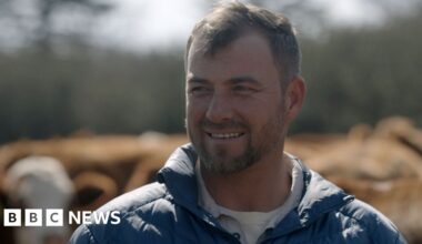 'We are an endangered species'