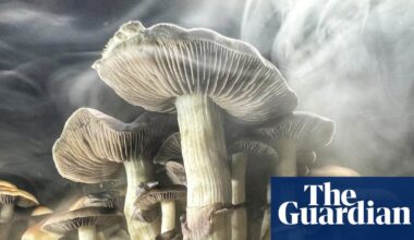 Inside the US’s psychedelic church boom, where taking drugs is legal | Drugs
