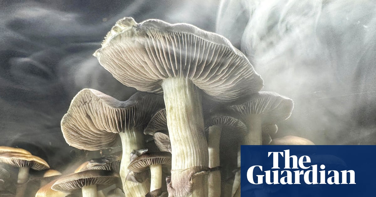 Inside the US’s psychedelic church boom, where taking drugs is legal | Drugs