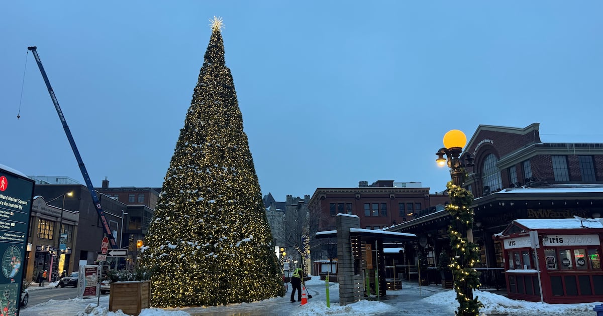 Freezing rain and wind gusts up to 70 km/h expected in Ottawa today - CTV News