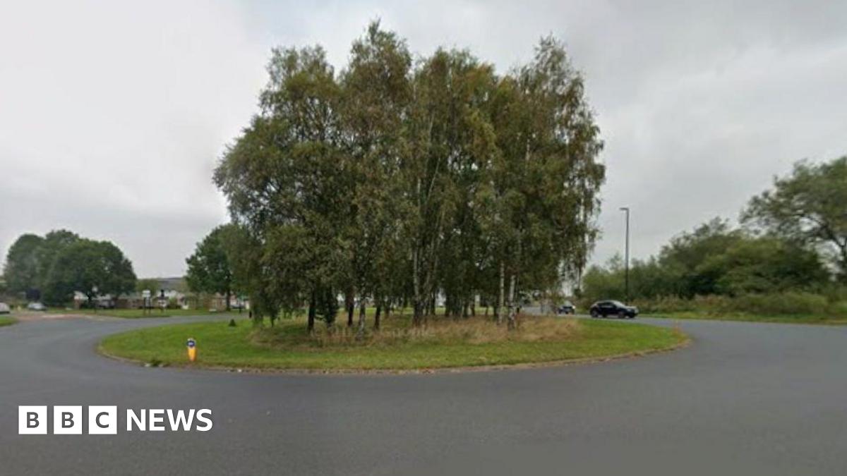 A roundabout with a cluster of tall, leafy trees planted in the centre on a grassy island. The road surrounding the roundabout is wide and paved, with a smooth, dark surface. Several streetlights are positioned around the roundabout, and a few vehicles can be seen in the background, including a black car approaching from the right side. The surrounding area appears to be open and green, with additional trees and shrubs visible beyond the roundabout. The sky is overcast.