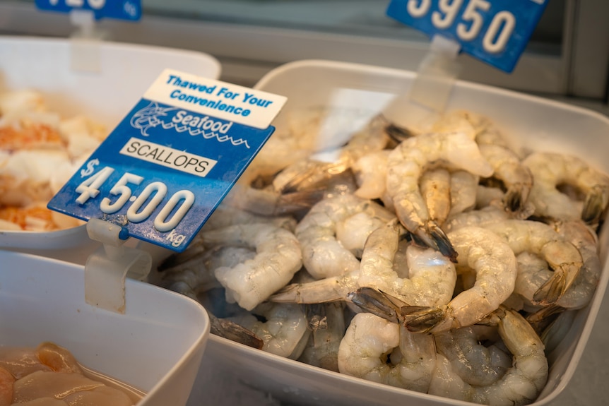 Raw green prawns in a tub in a seafood store display. 