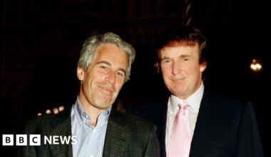 What the underwhelming Epstein files release means for Maga