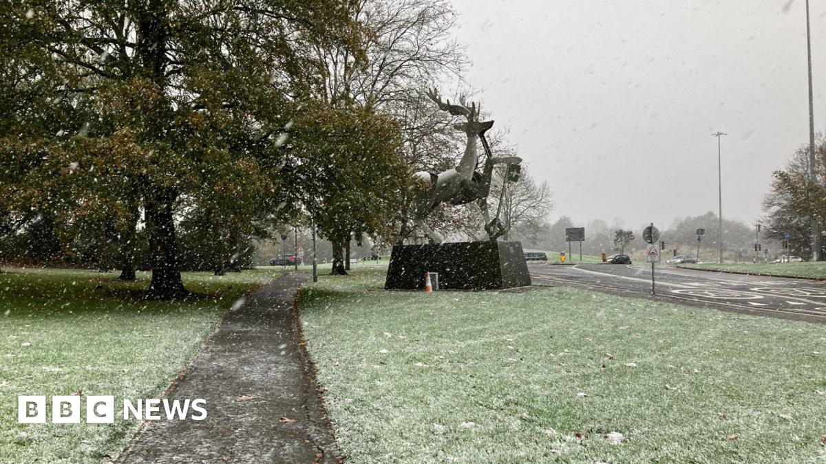 The stag statue on the University of Surrey campus, on a plinth in front of a tree, is seen through falling snow, with some snow beginning to lay on the grass around it.