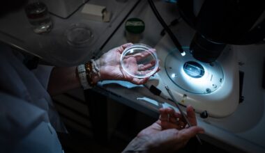 WHO launches call for high-level experts to join the Science Council