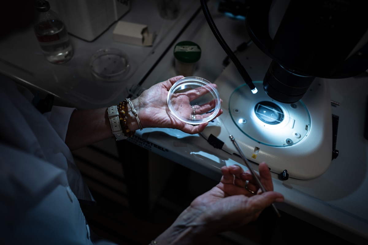 WHO launches call for high-level experts to join the Science Council