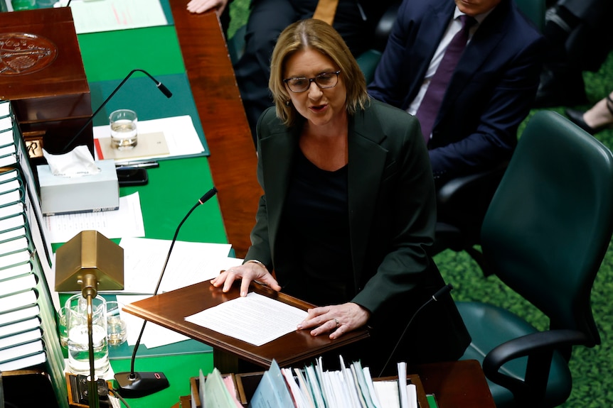 Victorian Premier Jacinta Allan speaks in parliament.
