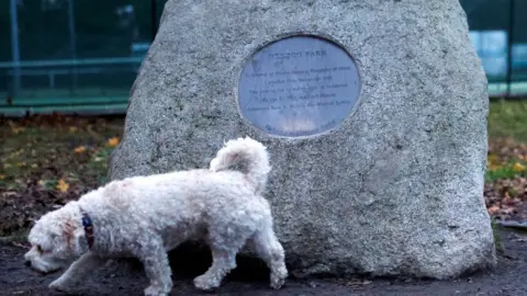 Reuters A small white dog walking in front of a large stone with a metal plaque on it, the text is barely visible but the words Herzog Park are spelled out