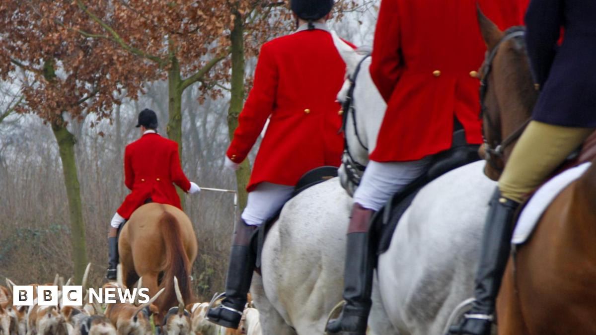 A photograph of several people on horseback behind a pack of dogs.