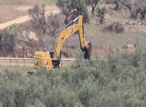Occupation forces uproot around 400 olive trees, level 35 dunums in village west of Ramallah