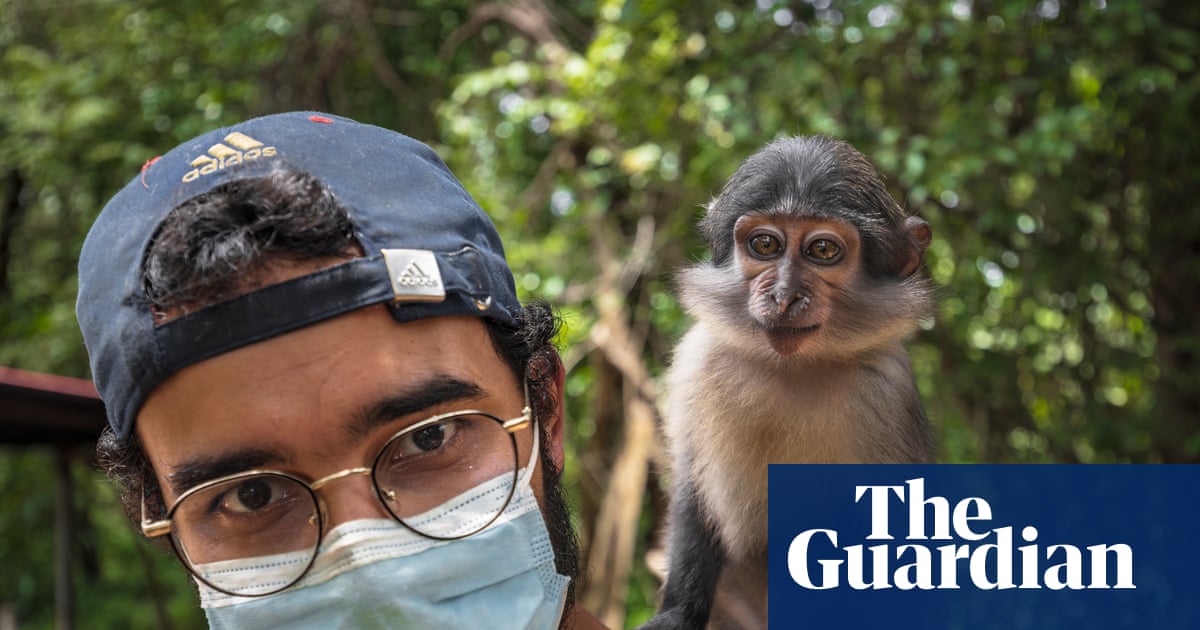 ‘I consider him my first son’: how living with a baby monkey taught me I’m ready to be a dad | Animals