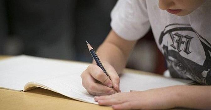 EQAO scores reveal insufficient progress, Ontario education minister says as he announces new plan - Toronto Star