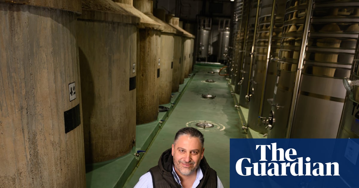 ‘Too important not to fight for’: Spain’s wine industry seeks infusion of new blood | Spain