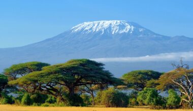 Mount Kilimanjaro helicopter crash kills 5 including tourists | World | News