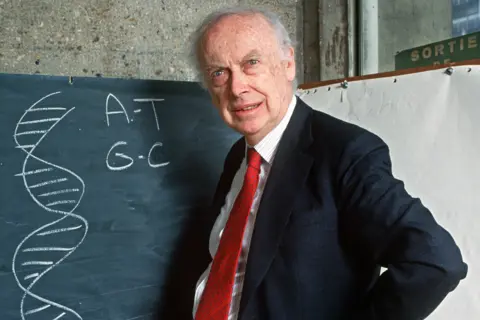Getty Images James Watson is wearing a dark suit jacket, white shirt, and red tie is standing beside a blackboard. The blackboard displays a chalk drawing of a DNA double helix and the letters “A-T” and “G-C,” representing base pairs in DNA. Behind the person, there is a large sheet of paper and a concrete wall with a green sign partially visible that reads “SORTIE.”