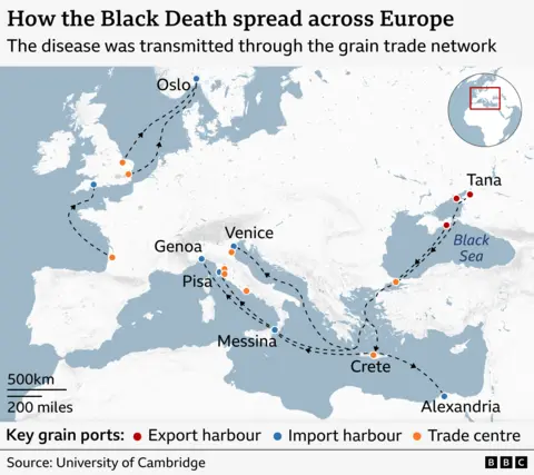 Map titled “How the Black Death spread across Europe,” showing the disease’s transmission through the grain trade network. The map covers Europe, the Mediterranean, and the Black Sea. Key ports are marked: red dots for export harbours (e.g., Tana, Alexandria), blue dots for import harbours (e.g., Oslo, Messina), and orange dots for trade centres (e.g., Venice, Genoa, Pisa, Crete). Dashed black arrows indicate the direction of the plague’s spread: starting from Tana on the Black Sea, moving southwest to Constantinople and Crete, then west to Messina in Sicily, north to Pisa and Genoa, and further to Venice. From Italy, routes extend northwest to France and then north to Oslo. Another route runs from Alexandria in Egypt to Crete and then into the Mediterranean trade network. A small inset map highlights the region within Europe. Source: University of Cambridge.