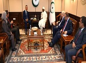 OIC, Arab League and African Union urge accountability for Israeli violations and protection for Palestinians