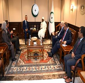 OIC, Arab League and African Union urge accountability for Israeli violations and protection for Palestinians