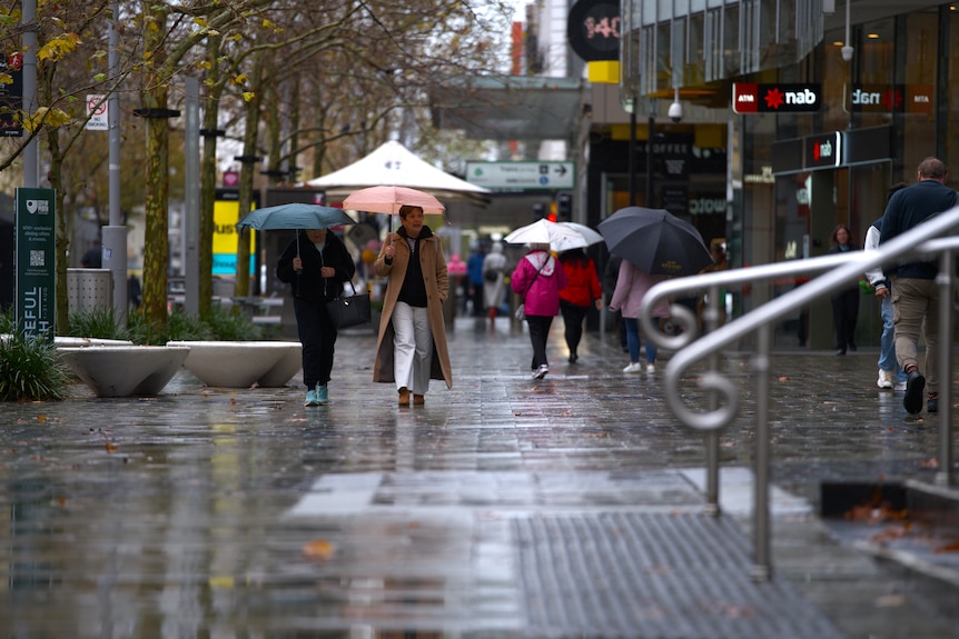 A group of people wearing raincoats and holding umbrellas while walking through the Perth CBD.