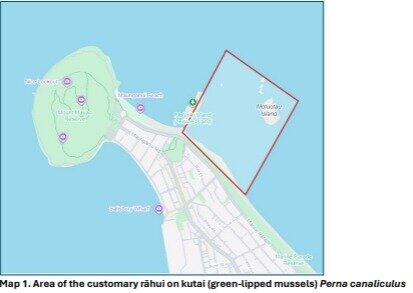 The customary rāhui area on kūtai. Graphic / Tauranga Moana Iwi Customary Fisheries Trust