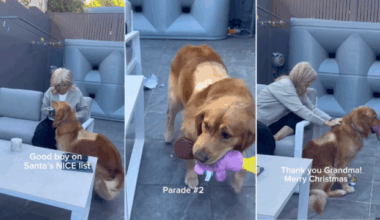 Yahoo lifestyle home