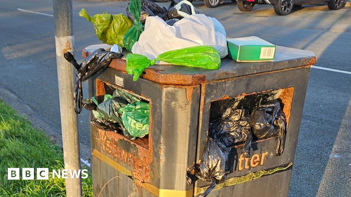 A public litter bin on a residential street during daylight. The bin is dark grey with rust patches and has the word "Litter" printed on it in faded letters. A sticker on the front reads "Bag it & Bin it" with an image of a dog, indicating it’s also for dog waste. The bin is overflowing with rubbish: several plastic bags in green, white, and black are stuffed into the top and hanging out. More black bin bags and one green-and-white Asda shopping bag are piled on the ground around the base of the bin. The pavement is wet, and the bin stands next to a metal lamppost. There is a grassy verge along the pavement. The lighting suggests early morning or late afternoon, with long shadows cast across the road.