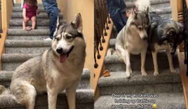 Yahoo lifestyle home