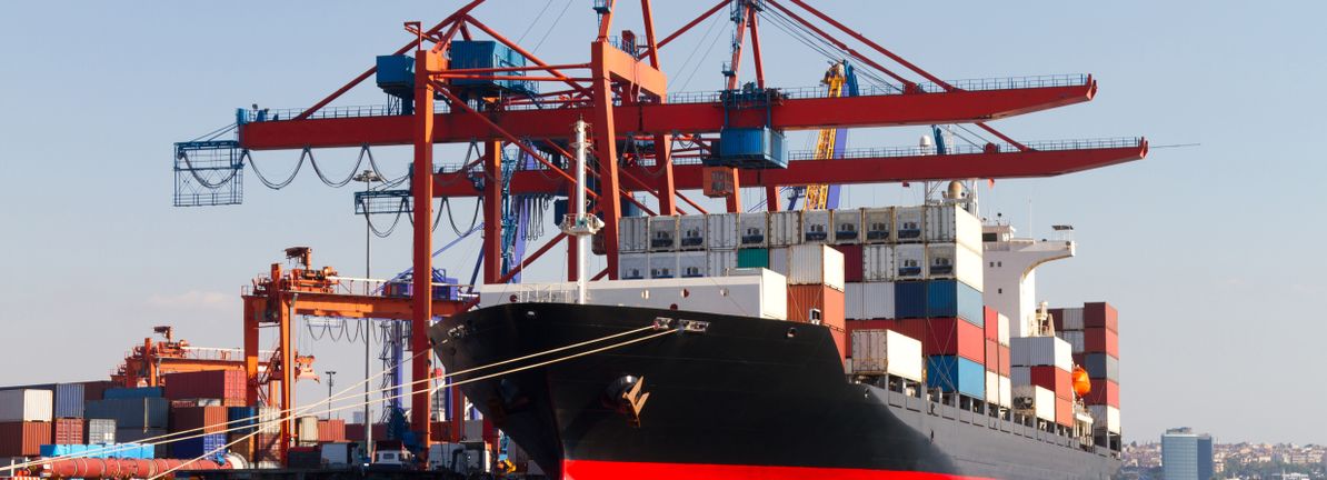 Weighing Kuehne + Nagel After 16.5% 2025 Slump and Recent Share Price Rebound