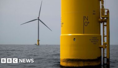 US pauses offshore wind projects over national security concerns