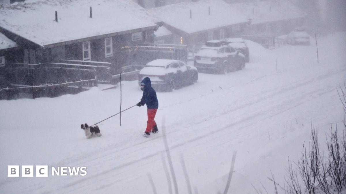 A pedestrian walks their dog along a snow-covered road next to houses and parked cars in Are, northern Sweden.